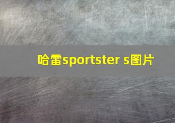 哈雷sportster s图片